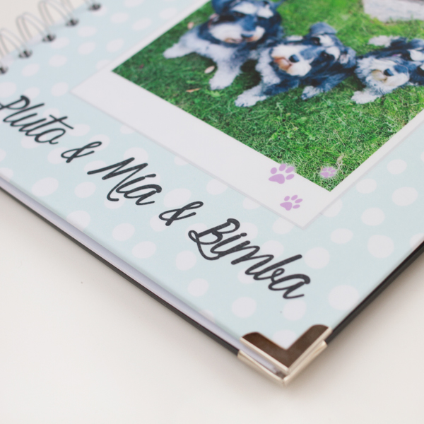 detalle portada album mascotas dots